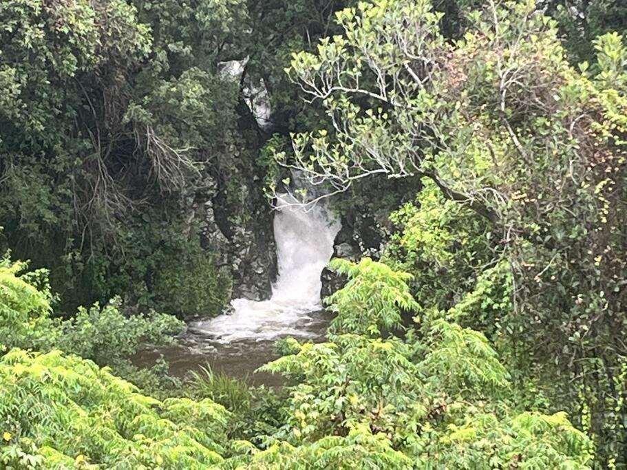 "La Ravine" Prive, Luxe, Avec Une Vue Unique Saint-Joseph Kültér fotó
