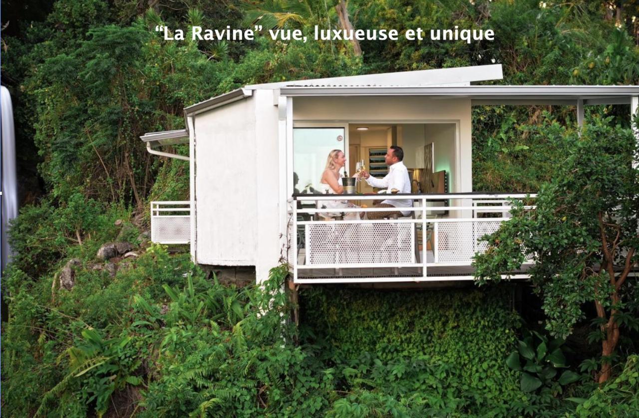 "La Ravine" Prive, Luxe, Avec Une Vue Unique Saint-Joseph Kültér fotó